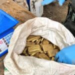 11,9 millones de dólares dieron en subasta por el oro de las Farc que será para las víctimas