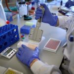 Células madre de tejido umbilical prometen reparación de daños por covid-19