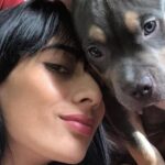 La respuesta de EasyFly a pasajera que denuncia la muerte de su perro durante un vuelo
