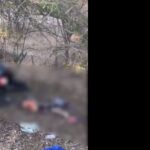 Mueren tres hinchas de Millonarios al chocar con tractomula en la vía hacia Bosconia