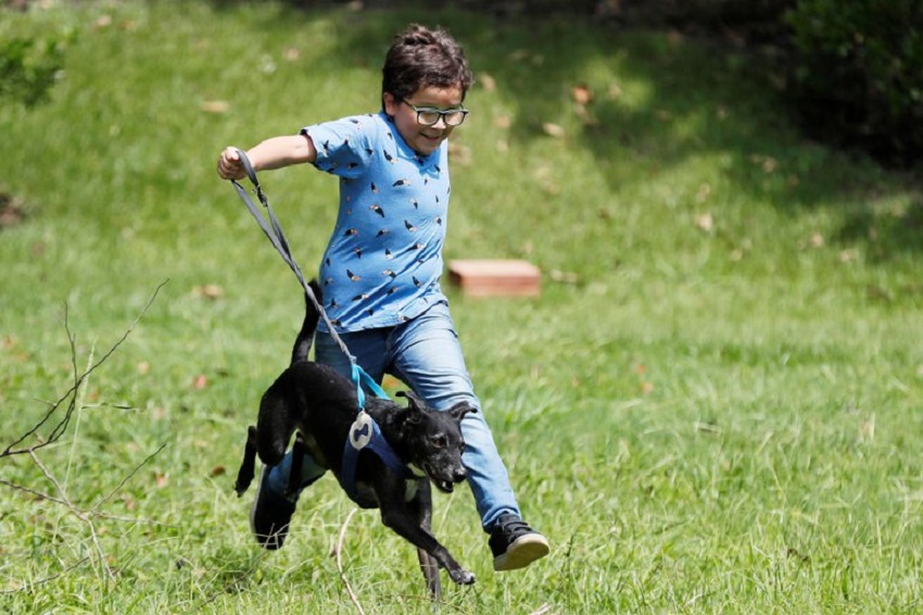 Fotografía del 11 de febrero de 2021, que muestra al niño ambientalista Francisco Vera mientras juega con su perro Pinky, en Villeta (Colombia). EFE