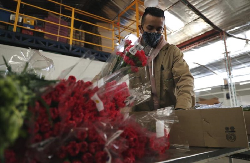 Las flores colombianas viajan por un mundo en pandemia para San Valentín