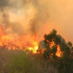 Pronostican una temporada crítica de incendios forestales en México