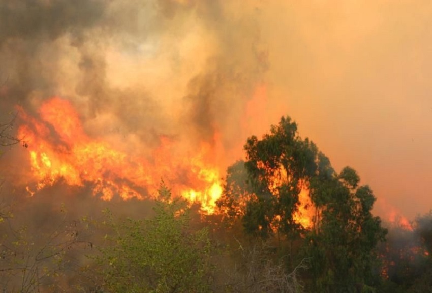 Pronostican una temporada crítica de incendios forestales en México