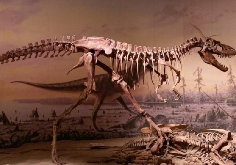 Reconstrucción del esqueleto de una cría de Tiranosaurio Rex. EFE/Departmento de Biología, Universidad de Nuevo México (EE.UU)