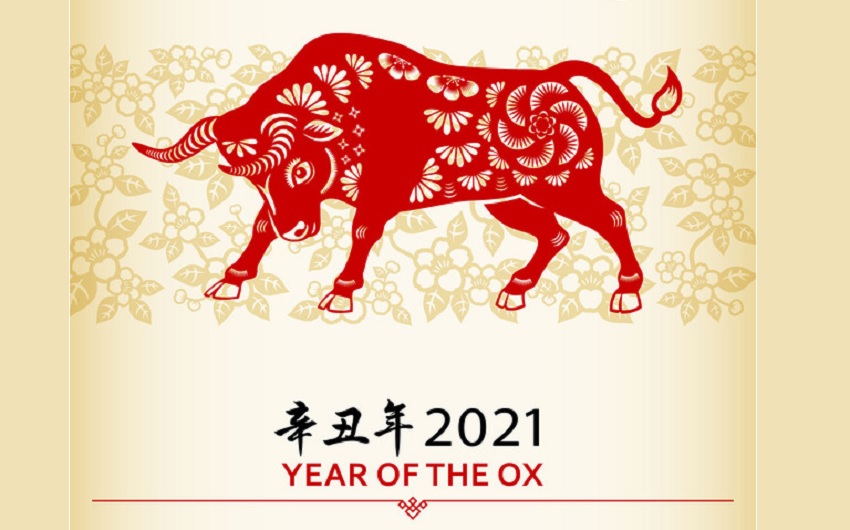 China celebra la llegada del Año Nuevo Lunar y el principio del Año del buey