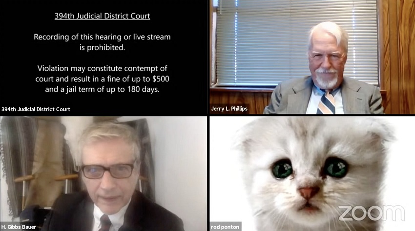 El juez Ferguson y el filtro de gato de Zoom sin saber que lo volvería viral