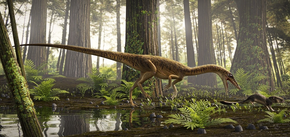 Descubren en Brasil uno de los antepasados más antiguos del Tyrannosaurus Rex