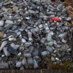 El reciclaje por decreto, una nueva obligación en Venezuela
