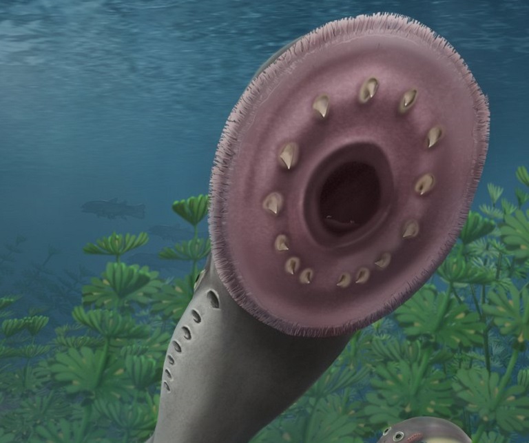 Un nuevo estudio cuestiona la teoría evolutiva de los vertebrados
