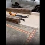 Balacera en el barrio San Francisco de Sincelejo deja a un fletero gravemente herido