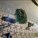 Así capturaron a Yassir Molina, líder de la Resistencia Juvenil Cochala