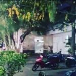 Asesinan a 4 personas en la plaza de mercado en Cartago