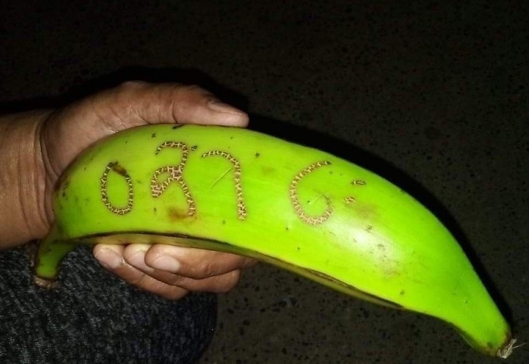 En Chocó ganaron el chance con el 0316 que salió en un plátano