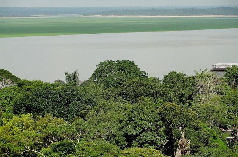 Amazonía