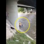 Motociclista cayó de puente en la Autopista Sur al río Medellín