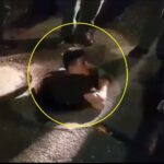 Hombres sacados de alcantarilla robaban cable en medellín