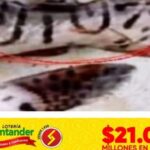Con el 9107 decenas de personas se ganaron el chance tras verlo en la cola de un bagre