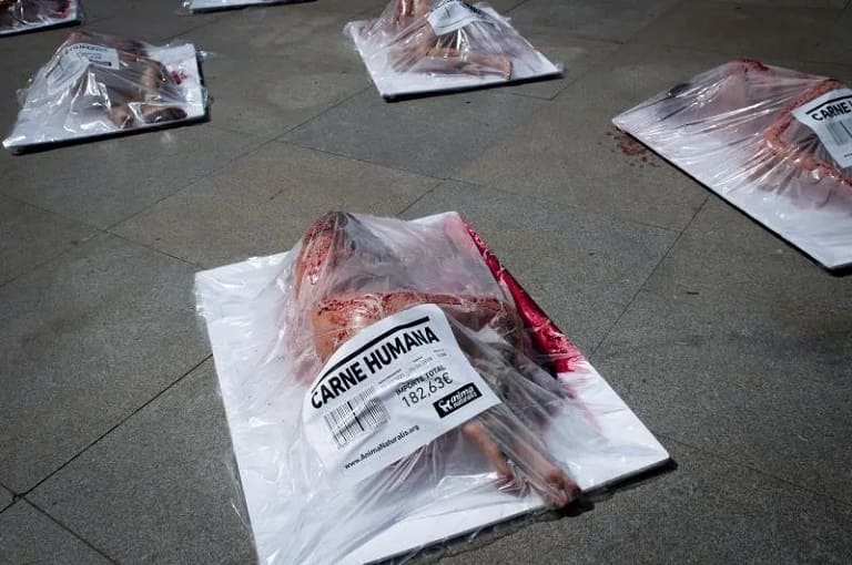 Carne
