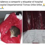 Entregan rata por cuerpo de bebé en Hospital de Colombia