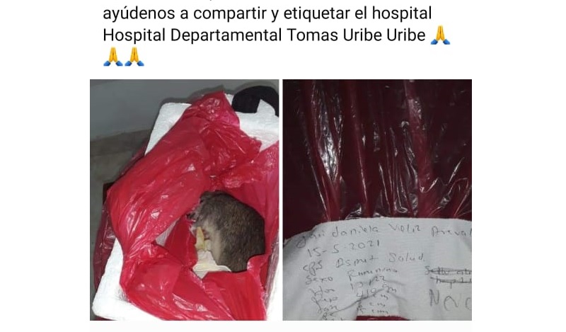 Entregan rata por cuerpo de bebé en Hospital de Colombia