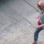 La Mujer Zombie de Seattle