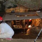 neandertales