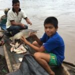 La pérdida de biodiversidad amenaza la nutrición humana en la Amazonía