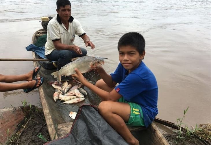 La pérdida de biodiversidad amenaza la nutrición humana en la Amazonía