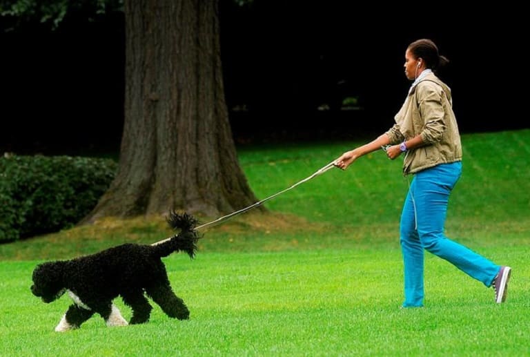 Muere “Bo”, uno de los perros de la familia Obama