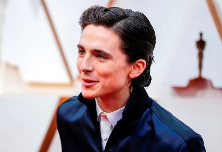 Timothée Chalamet será Willy Wonka en una película musical