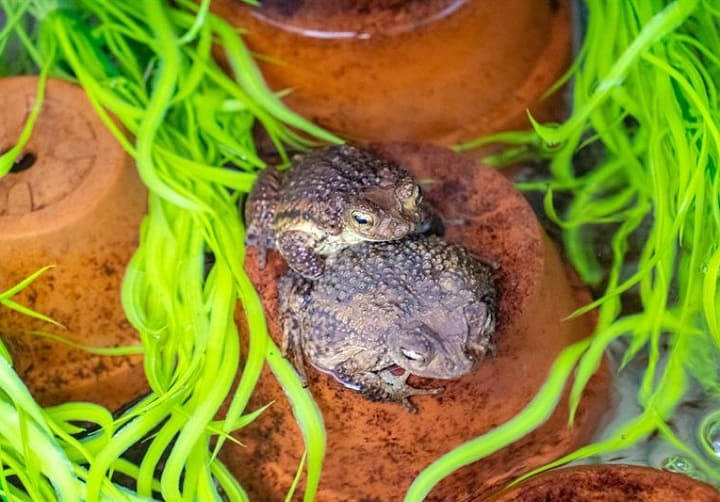 Zoológico
