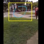 Conductor arrolla a manifestante en el parque del artista