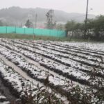 Granizada en Las Palmas y Santa Elena tras lluvias en Medellín