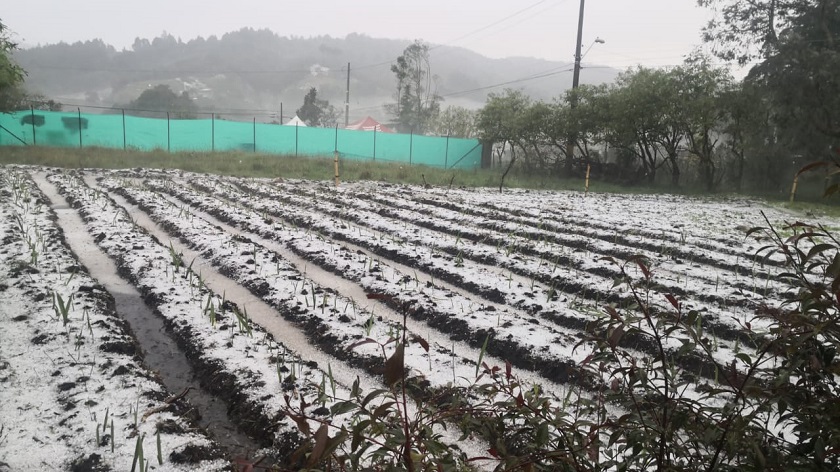 Granizada en Las Palmas y Santa Elena tras lluvias en Medellín