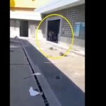 Saqueo al Éxito de Calipso: así fue captado en video