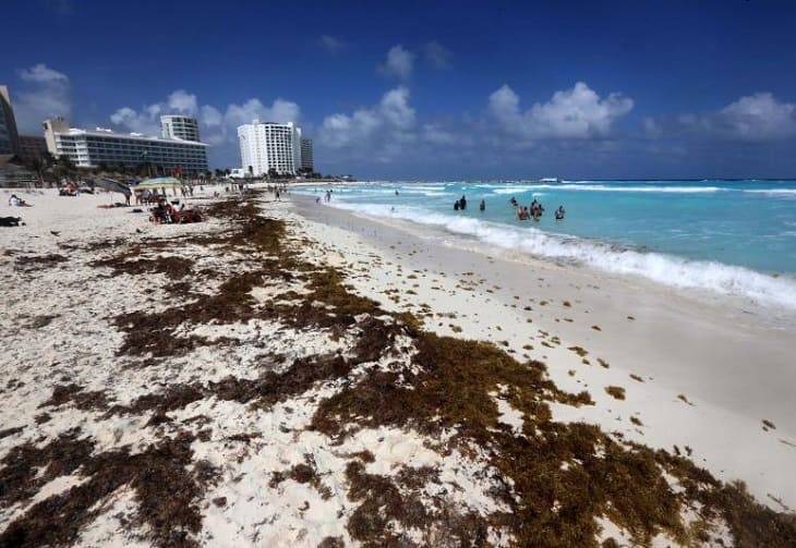 Aumentan las playas con abundante sargazo en el Caribe mexicano