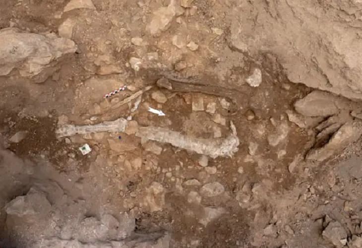 Hallan restos de una Homo sapiens que vivió hace 14.000 años en el Prepirineo (1)