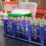 Identifican las moléculas que frenan la entrada del coronavirus en las células