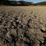 La ola de calor en EE.UU. golpea a la agricultura y a las especies autóctonas