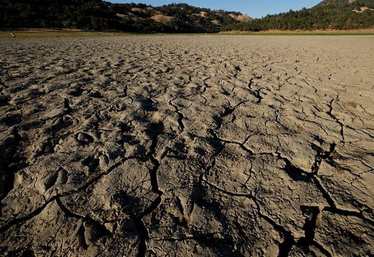 La ola de calor en EE.UU. golpea a la agricultura y a las especies autóctonas