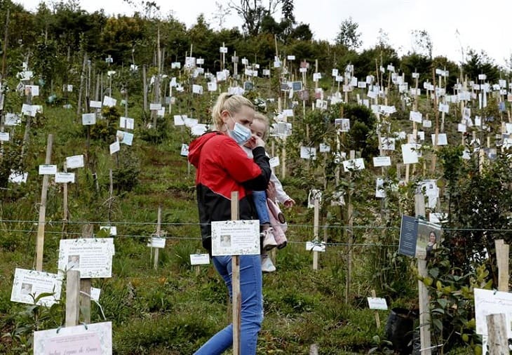 Las cenizas de las víctimas de la covid-19, fuente de vida de un páramo en Colombia