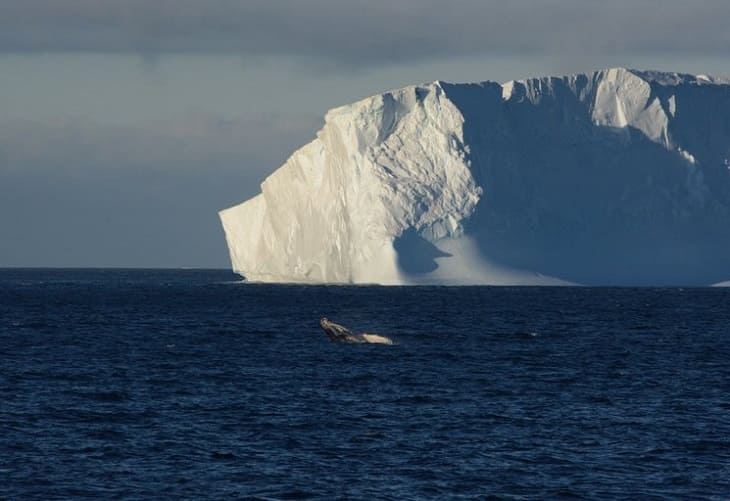 Ninguno de los grandes índices bursátiles del G7 cumple con metas de clima