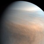 Venus