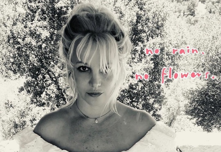 Britney Spears busca recuperar su custodia legal