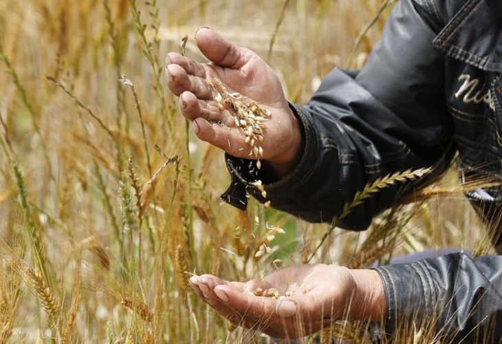 América destaca su posición unida sobre el futuro de la producción de alimentos