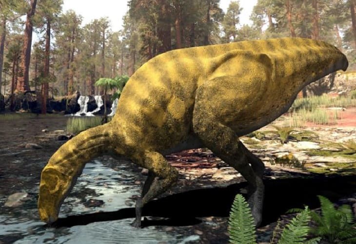 Descubren en España los restos de una especie desconocida de dinosaurio