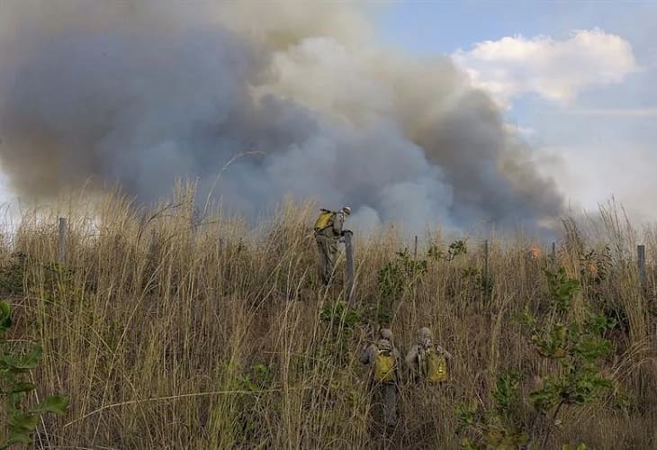 En jaque la seguridad climática del planeta por la destrucción de la Amazonía