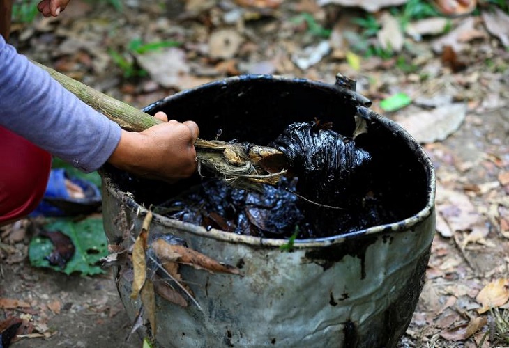 La contaminación y el cambio climático amenazan a los peces en la Amazonía de Ecuador