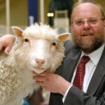 La oveja Dolly, el experimento que revolucionó la biología